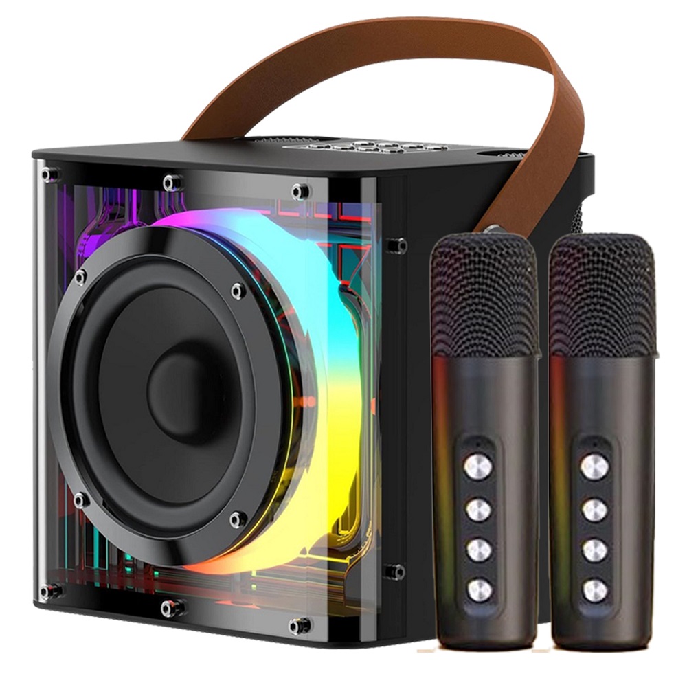 Havit Wireless Mini Karaoke Speaker 15W SK822BT Black