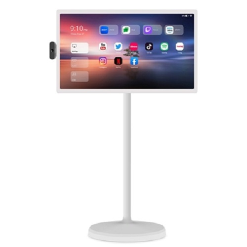 Dexon 32 Inch Smart Stand Tablet Dst32gwt